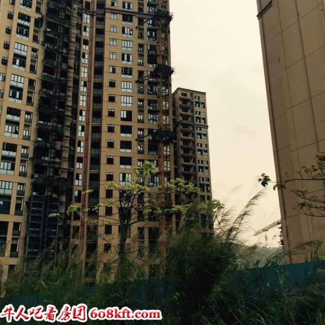 深圳公明在售最后一个村委统建楼,8栋花园式物业,小产权房住宅